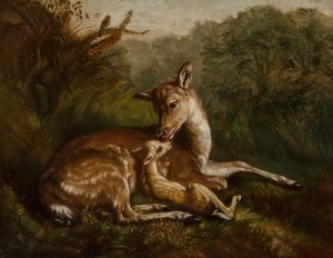 Deer and Fawn by Arthur Fitzwilliam Tait Oil Painting