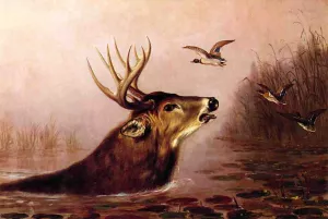 Deer in Marsh by Arthur Fitzwilliam Tait - Oil Painting Reproduction