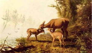 Deer in the Woods painting by Arthur Fitzwilliam Tait