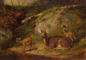 Doe and Two Fawns by Arthur Fitzwilliam Tait Oil Painting