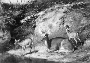 Doe and Two Fawns by Arthur Fitzwilliam Tait - Oil Painting Reproduction