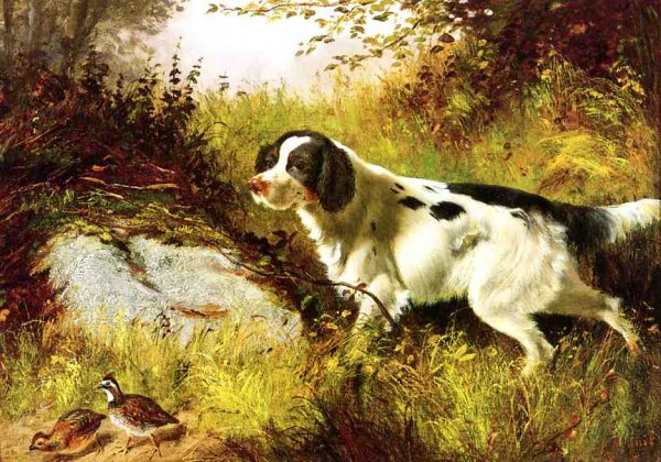 Main Product Photo of Dog and Quail Painting by Arthur Fitzwilliam Tait