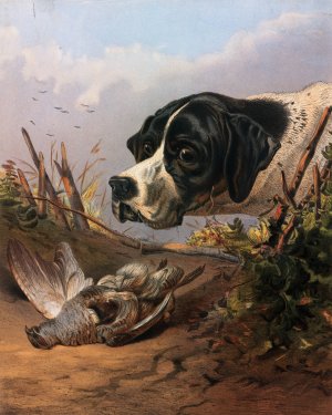 Dog's Head by Arthur Fitzwilliam Tait Oil Painting