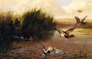Duck Shooting by Arthur Fitzwilliam Tait Oil Painting