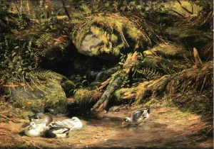 Ducks at the Spring Head by Arthur Fitzwilliam Tait - Oil Painting Reproduction
