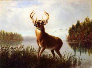 Eight Point Stag by Arthur Fitzwilliam Tait - Oil Painting Reproduction