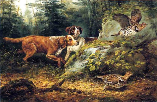 Main Product Photo of Flushed: Ruffed Grouse Shooting Painting by Arthur Fitzwilliam Tait