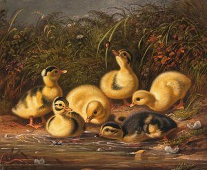 Group of Ducklings by Arthur Fitzwilliam Tait Oil Painting