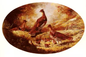 Grouse Family painting by Arthur Fitzwilliam Tait