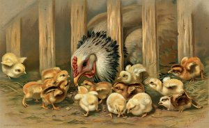 Kluck! Kluck! by Arthur Fitzwilliam Tait Oil Painting