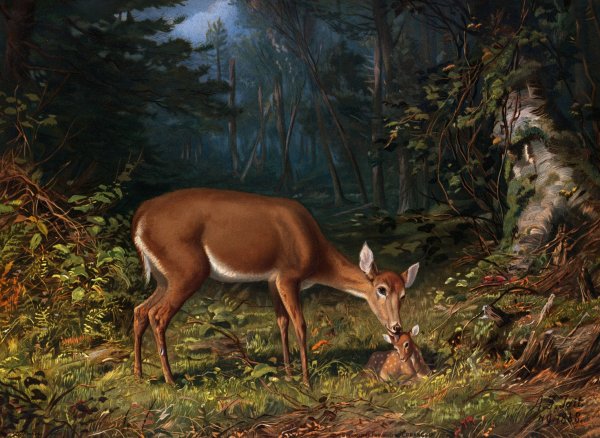 Main Product Photo of Maternal Love  Painting by Arthur Fitzwilliam Tait
