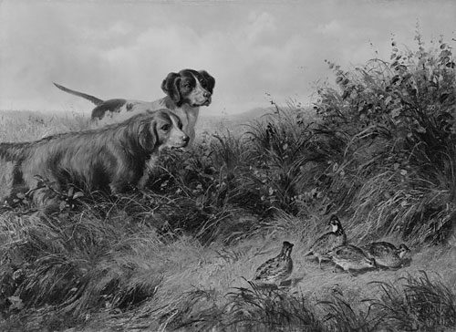 Main Product Photo of On Point Painting by Arthur Fitzwilliam Tait