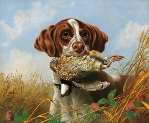 Pointer and Quail by Arthur Fitzwilliam Tait Oil Painting