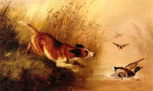 Spaniel Chasing Ducks by Arthur Fitzwilliam Tait - Oil Painting Reproduction
