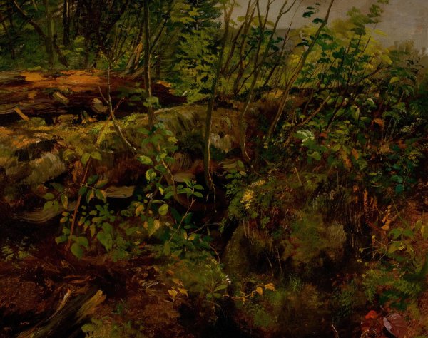 Main Product Photo of Study from Nature  Painting by Arthur Fitzwilliam Tait