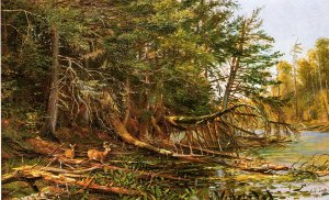 The Outlet of St. Regis Lake by Arthur Fitzwilliam Tait Oil Painting