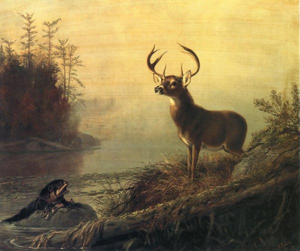Main Product Photo of The Surprise Painting by Arthur Fitzwilliam Tait