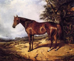 Thoroughbred Oil Painting by Arthur Fitzwilliam Tait - Bestsellers