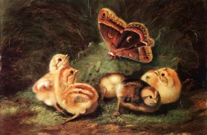 Young Chickens by Arthur Fitzwilliam Tait Oil Painting
