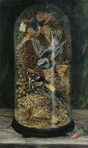 Stuffed Birds In A Dome by Arthur H. Davis Oil Painting