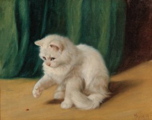 Cat with Ladybird by Arthur Heyer Oil Painting