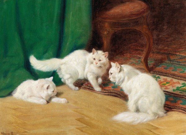 Main Product Photo of Conversation Amongst Cats Painting by Arthur Heyer
