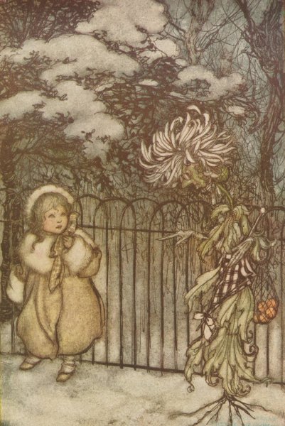Main Product Photo of A chrysanthemum heard her, and said pointedly, 'Hoity-toity, what is this' Painting by Arthur Rackham