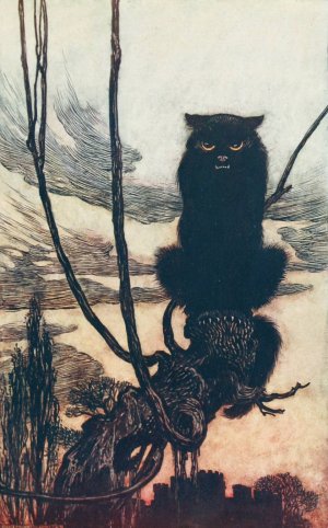 By day she made herself into a cat by Arthur Rackham Oil Painting