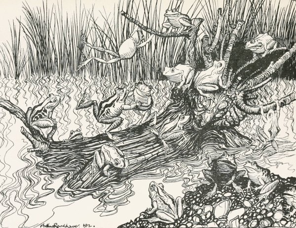 Main Product Photo of King Log  Painting by Arthur Rackham