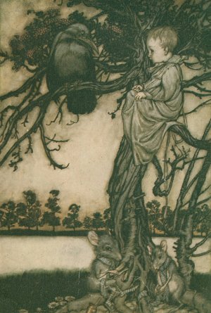 Put his strange case before old Solomon Caw by Arthur Rackham Oil Painting