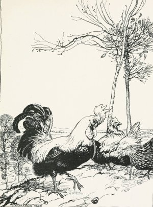 The Cock and the Jewel by Arthur Rackham Oil Painting