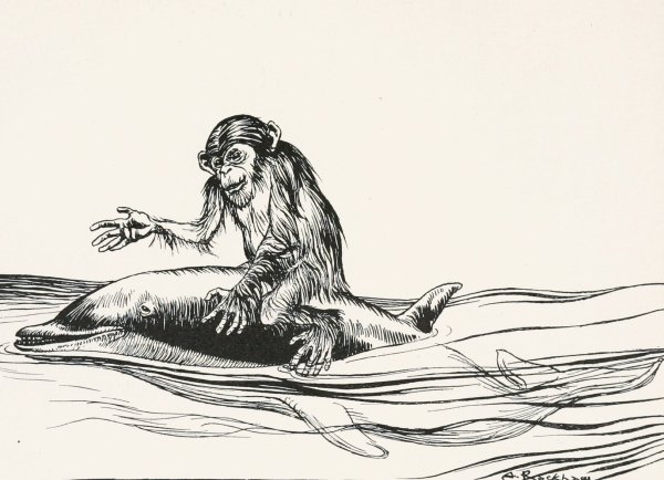 The Monkey and the Dolphin  by Arthur Rackham - Hand-Painted Oil Painting Reproduction