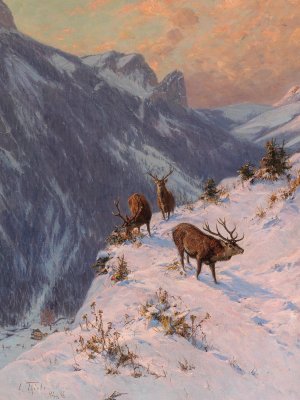 A Red Deer in Winter Oil painting by Arthur Thiele
