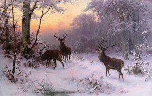 Wild im Winterwald by Arthur Thiele Oil Painting