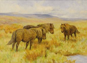 Shetland Ponies by Arthur Wardle Oil Painting