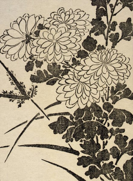 Ipswich Prints; Chrysanthemum  by Arthur Wesley Dow - Hand-Painted Oil Painting Reproduction