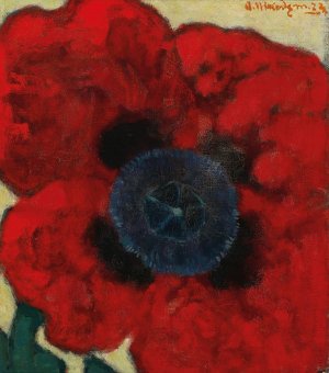 Mohnblume by Artur Nikodem Oil Painting