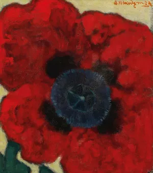 Mohnblume by Artur Nikodem Oil Painting
