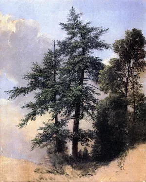 Nature Study, Trees, Newburth, N.Y. painting by Asher B. Durand