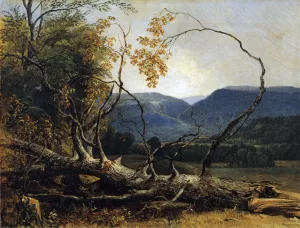 Study from Nature, Stratton Notch, Vermont by Asher B. Durand Oil Painting
