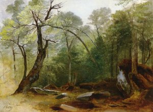 Study in the Woods by Asher B. Durand Oil Painting
