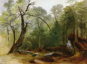 Study in the Woods by Asher B. Durand Oil Painting
