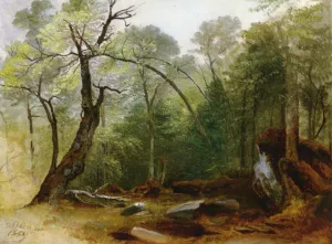 Study in the Woods Oil painting by Asher B. Durand