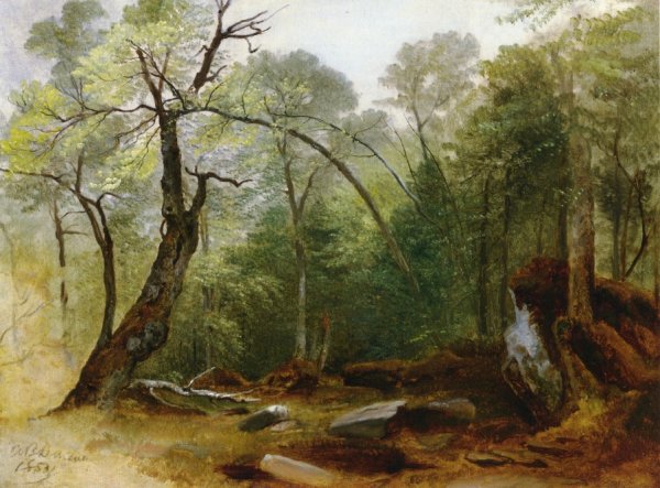Main Product Photo of Study in the Woods Painting by Asher B. Durand