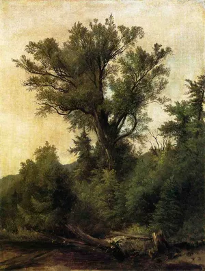 Woodland Stream by Asher B. Durand Oil Painting