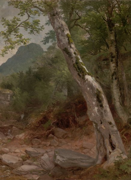 A Sycamore Tree, Plaaterkill Clove  by Asher Brown Durand - Hand-Painted Oil Painting Reproduction