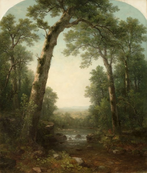 Forest Stream with Vista  by Asher Brown Durand - Hand-Painted Oil Painting Reproduction