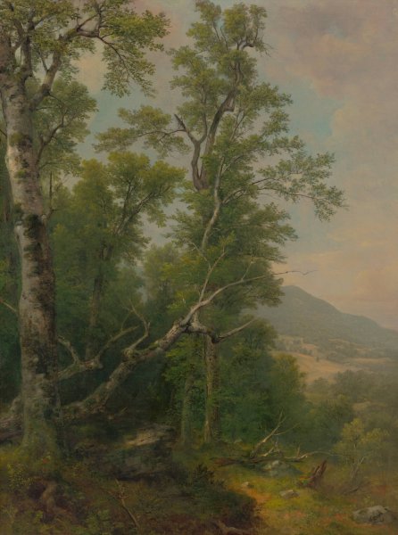 Study of Trees  by Asher Brown Durand - Hand-Painted Oil Painting Reproduction