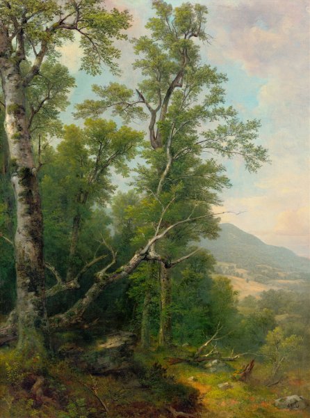 Study of Trees  by Asher Brown Durand - Hand-Painted Oil Painting Reproduction