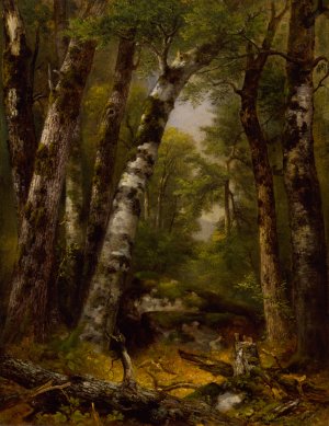 Woodland Glen by Asher Brown Durand Oil Painting